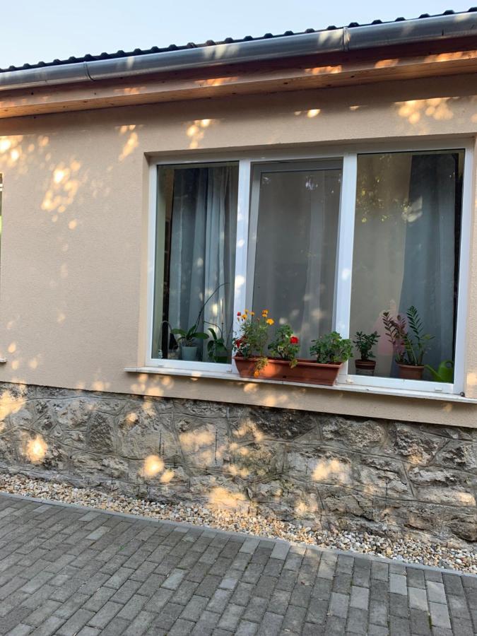 Apartament Ica Vendeghaz Sutto Zewnętrze zdjęcie